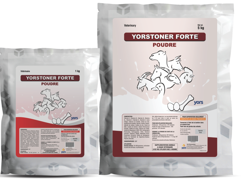 YORSTONER FORTE - Powder PackShot - Copy (2)