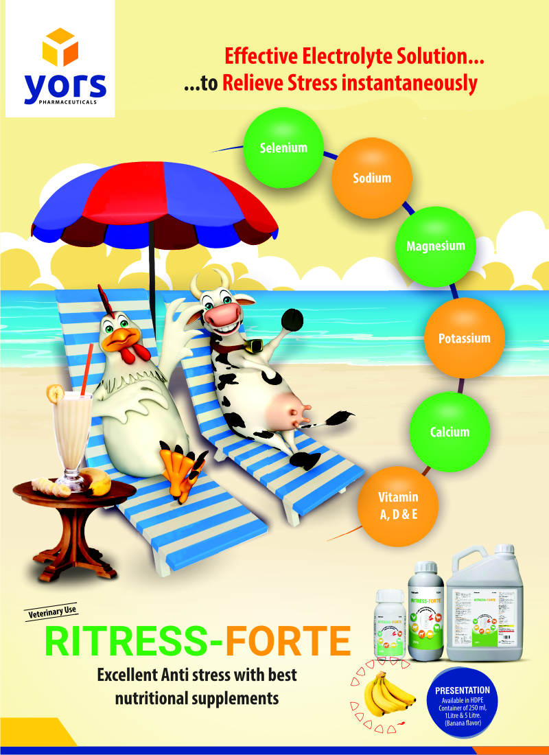 ritress-forte-liquid-more-details - Yors Pharmaceutical