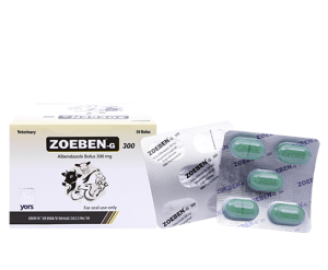 A-1 ZOEBEN 300 G BOLUS PACK -ENG-FRONT