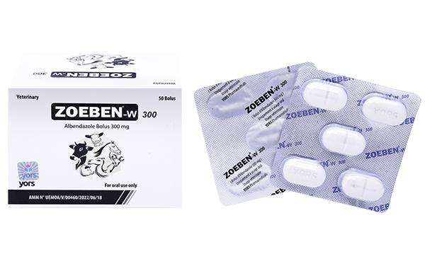 A-1 ZOEBEN W 300 BOLUS BLISTER -ENG-FRONT