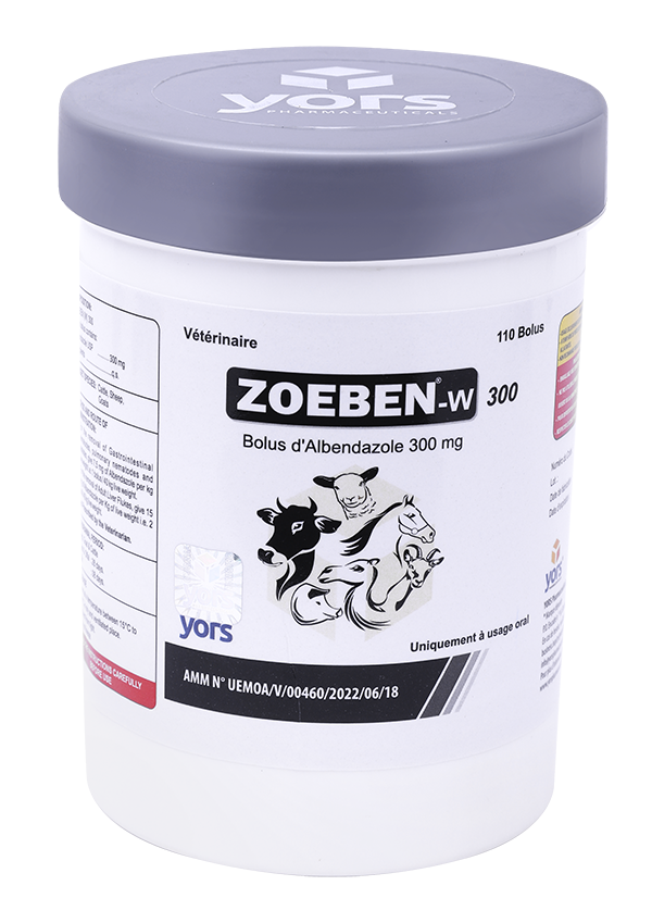 A-1 ZOEBEN W 300 JAR- FRE -FRONT