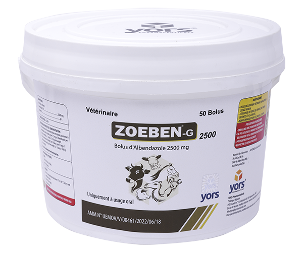 A-2 ZOEBEN-G-2500