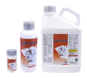 DIS-1 CHEMALTMA -FRE- FRONT