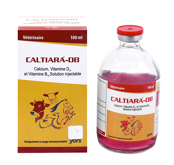 calcium b12 injection Novacalcium+B12 - 100ml