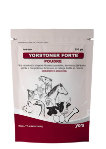 NL-2 YORSTONER FORTE (PWD) 250 GM -FRE-FRONT