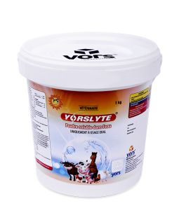 NSR-5 YORSLYTE (PWD) 1 KG -FRE-FRONT