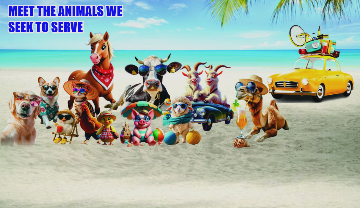 WEBSITE ANIMALS NEW