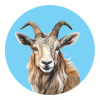 WhatsApp-Image-2020-06-30-at-2.41.38-PM-1-1-150×150 goat