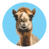 WhatsApp-Image-2020-06-30-at-2.41.38-PM-2-1-150×150 camel