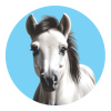 WhatsApp-Image-2020-06-30-at-2.41.38-PM-3-150×150 (2) horse