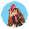 WhatsApp-Image-2020-06-30-at-2.41.38-PM-6-1-150×150 poultry