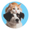 dog-cat-in-circle dog-cat-in-circle